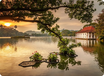 Sri Lanka’s Heritage & Highlands: A 10-Day Discovery