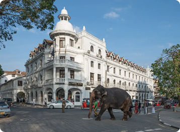 7-Day Northern & Eastern Coastal Tour in Sri Lanka